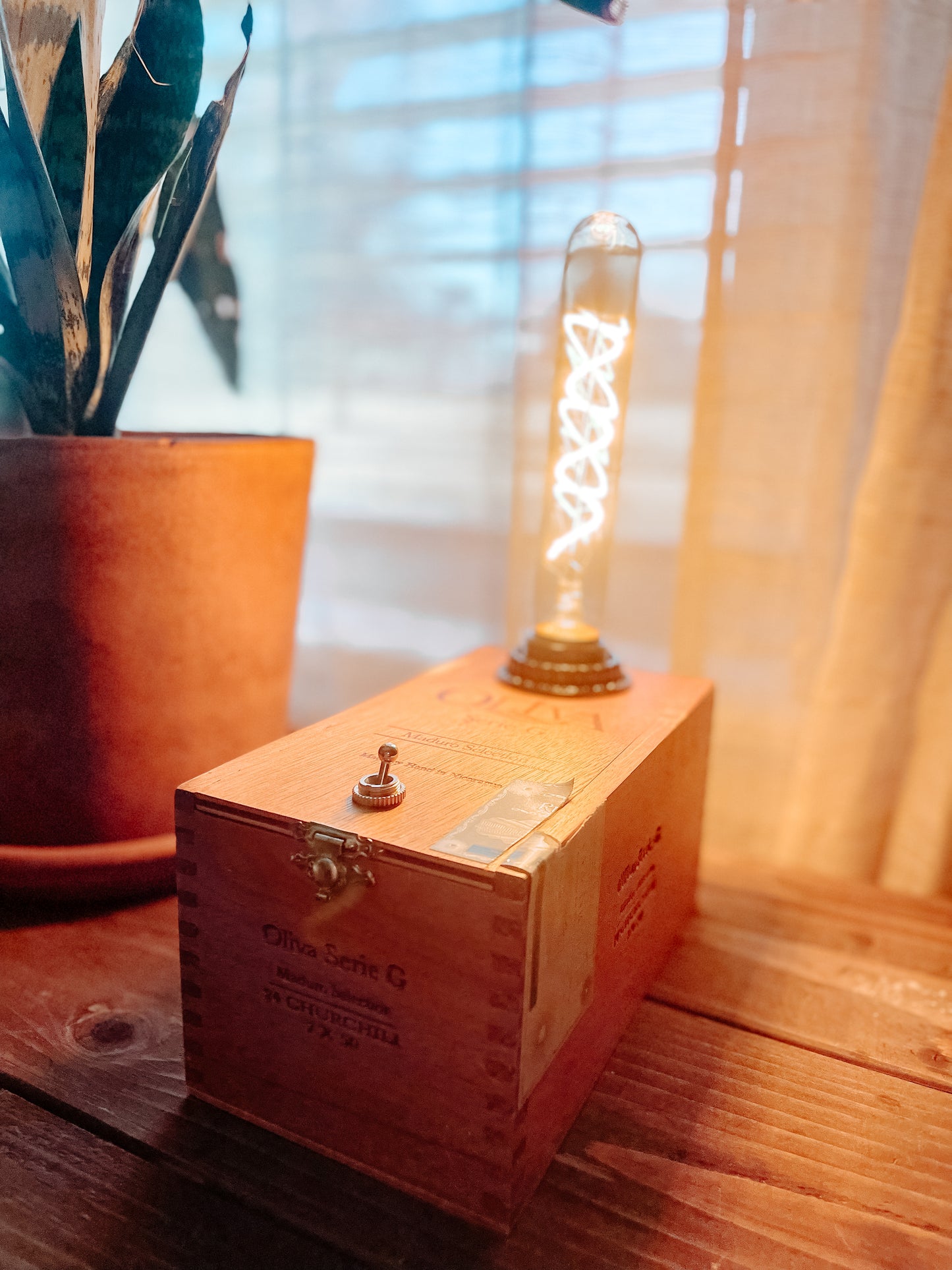 Cigar Box Lamp - Oliva Serie G